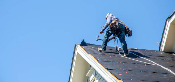 Best Roof Leak Repair  in Wolf Trap, VA